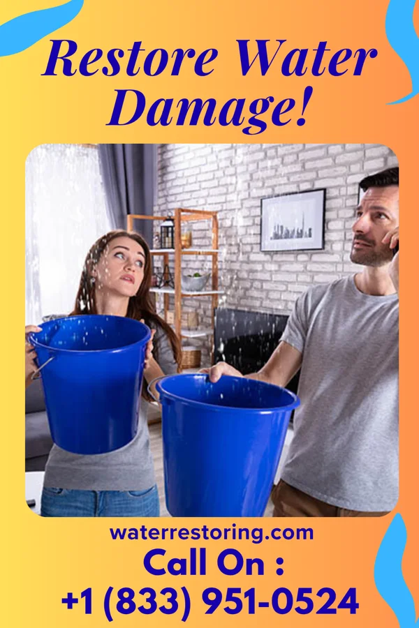water restoration Vigilant Disaster Recovery Experts Dorr